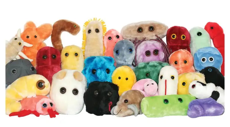 Plush shop bacteria toys