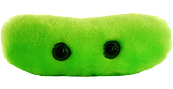 TB Giant Microbe