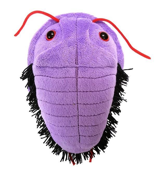 Trilobite Giant Microbes