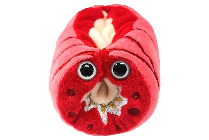 Asthma Giant Microbe