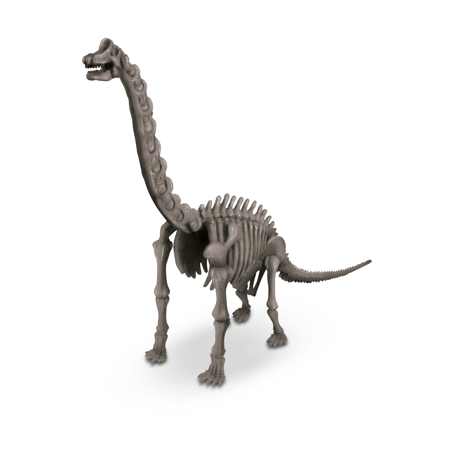 4M - DIG A DINOSAUR - BRACHIOSAURUS