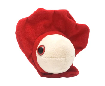 Shingles Giant Microbes