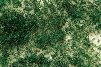 BACHMANN MEDIUM FOLIAGE, DARK GREEN. ANY SCALE