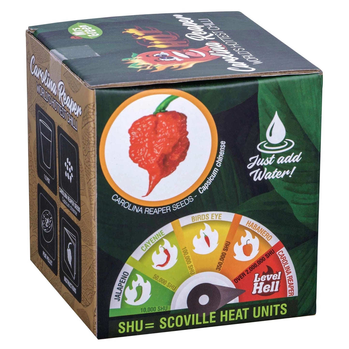Carolina Reaper Chilli grow kit