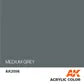 AK Interactive Acrylic FS 35237 Medium Grey