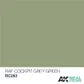 AK Interactive Real Colours RAF CockpitGrey-Green 10ml