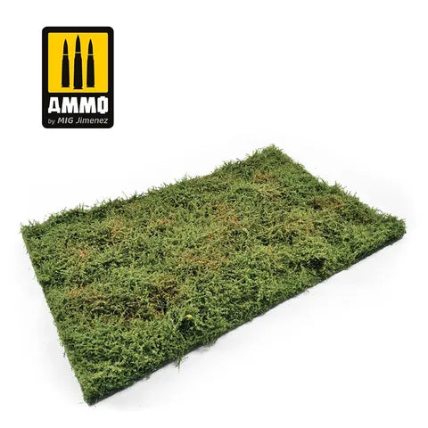 Ammo Paint, Wilderness Fields with bushes - early summer