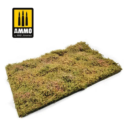 Ammo Paint, Wilderness Fields with bushes - late summer