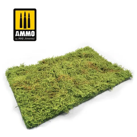 Ammo Paint, Wilderness Fields with bushes - spring