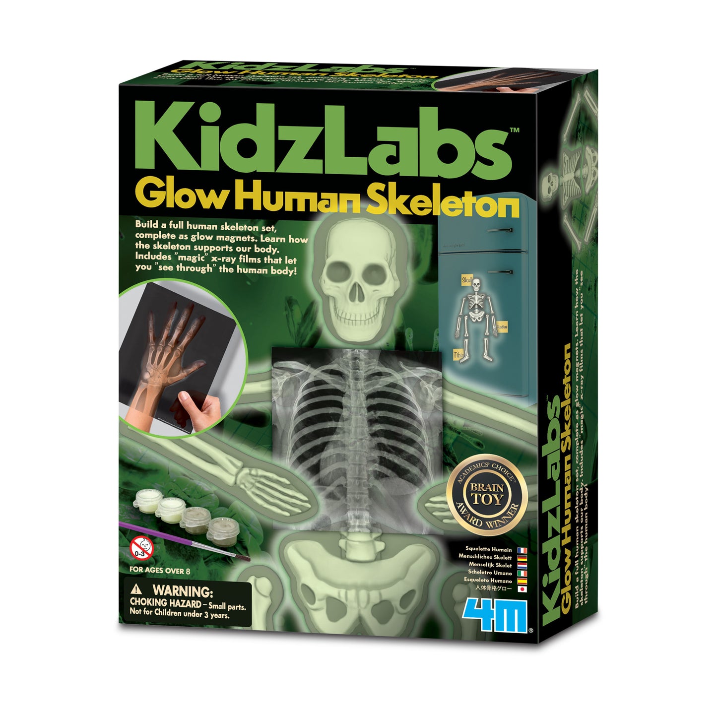 4M - KIDZLABS - HUMAN SKELETON