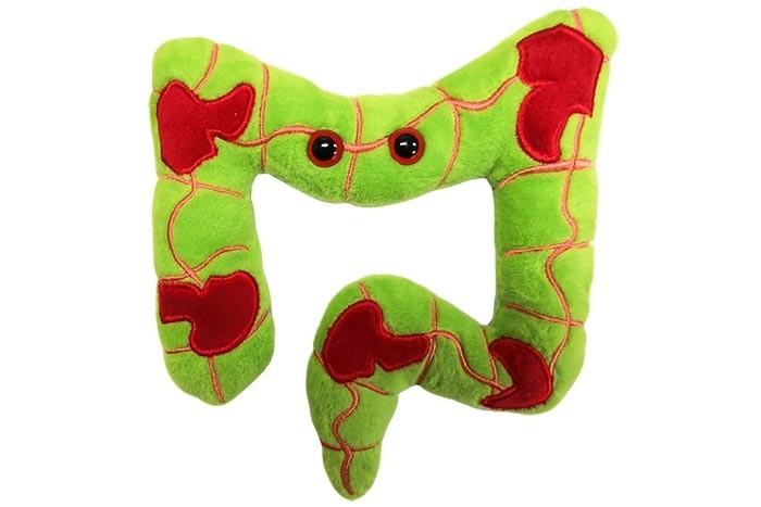 Giant Microbes Crohn's Disease and Colitis