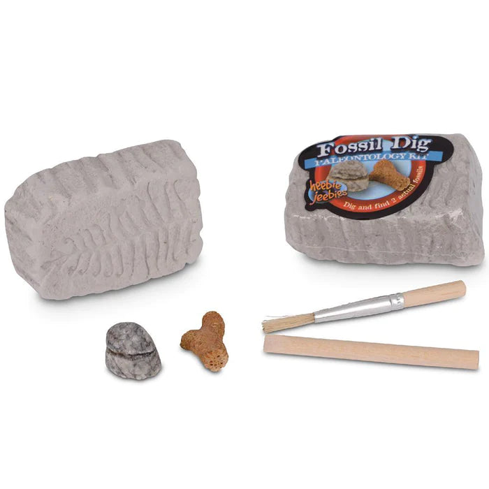 Pocket Money Science Fossil Dig Mini Palaeontology kit