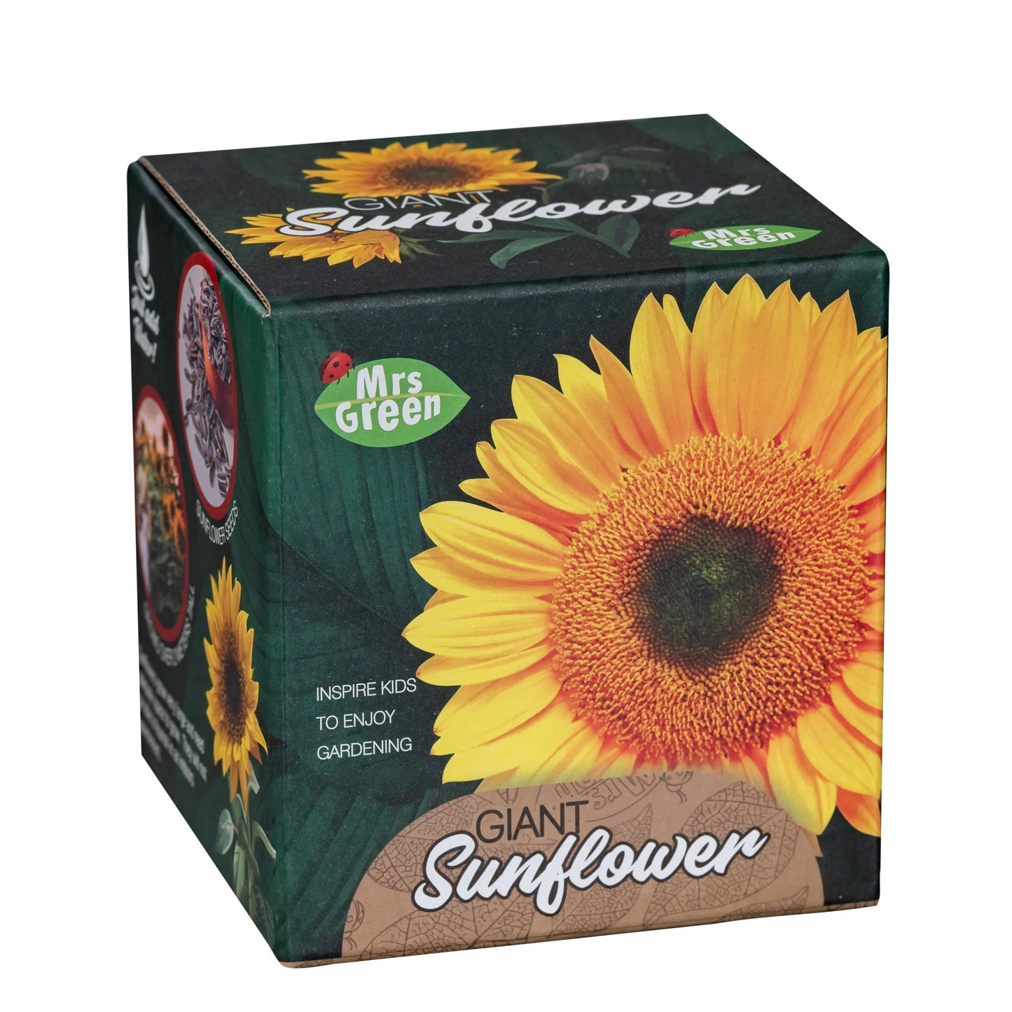 Giant Sunflower Grow your own Sunflower