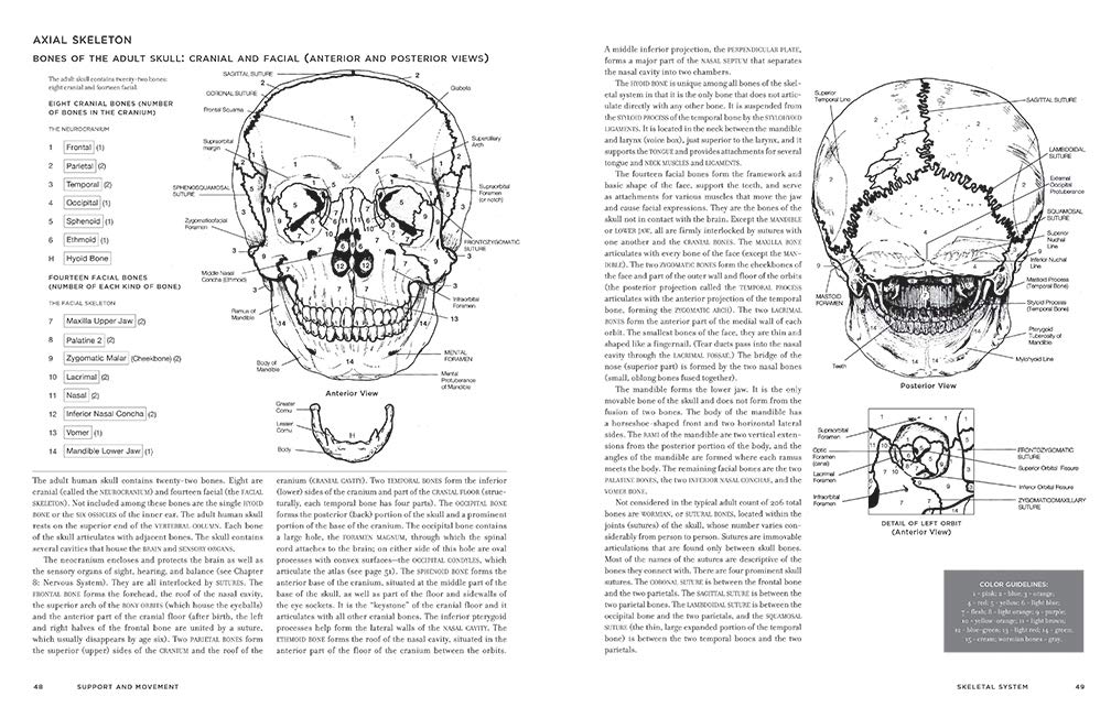 Mcmurtrie's Human Anatomy Coloring Book
