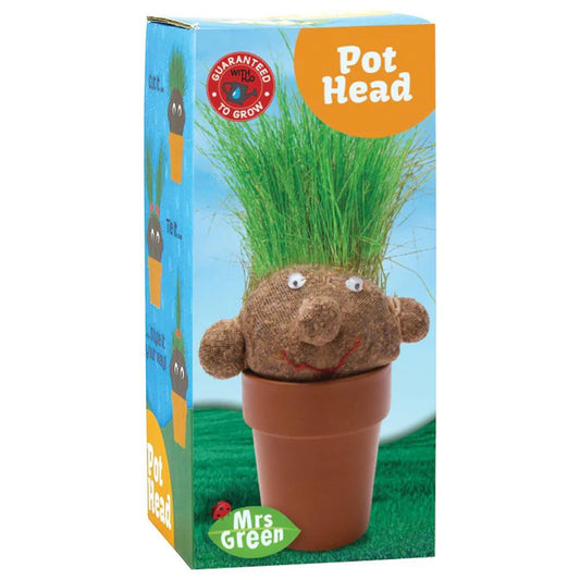 Pot Head Grass Growing Head Plant Head