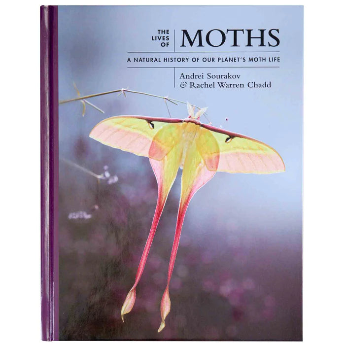 The Lives of Moths