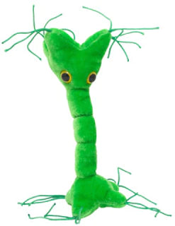 Nerve Cell Giant Microbe