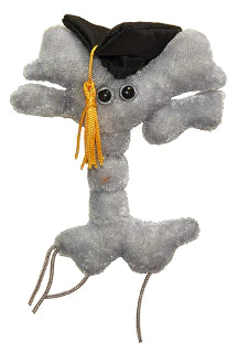 Graduation Brain Cell Giant Microbe
