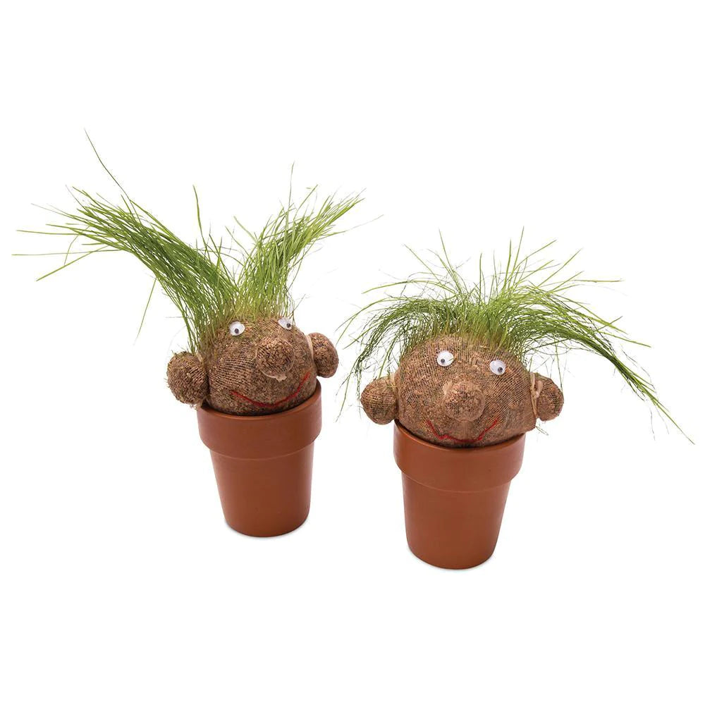 Pot Head Grass Growing Head Plant Head