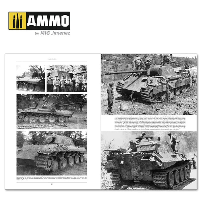Ammo Paint, GERMAN TANKS AND VEHICLES 1943-1945 Vol. 2
