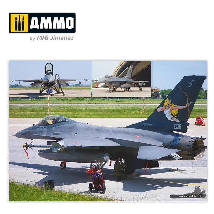 Ammo Paint, F-16 Fighting Falcon / VIPER. Visual Modelers Guide