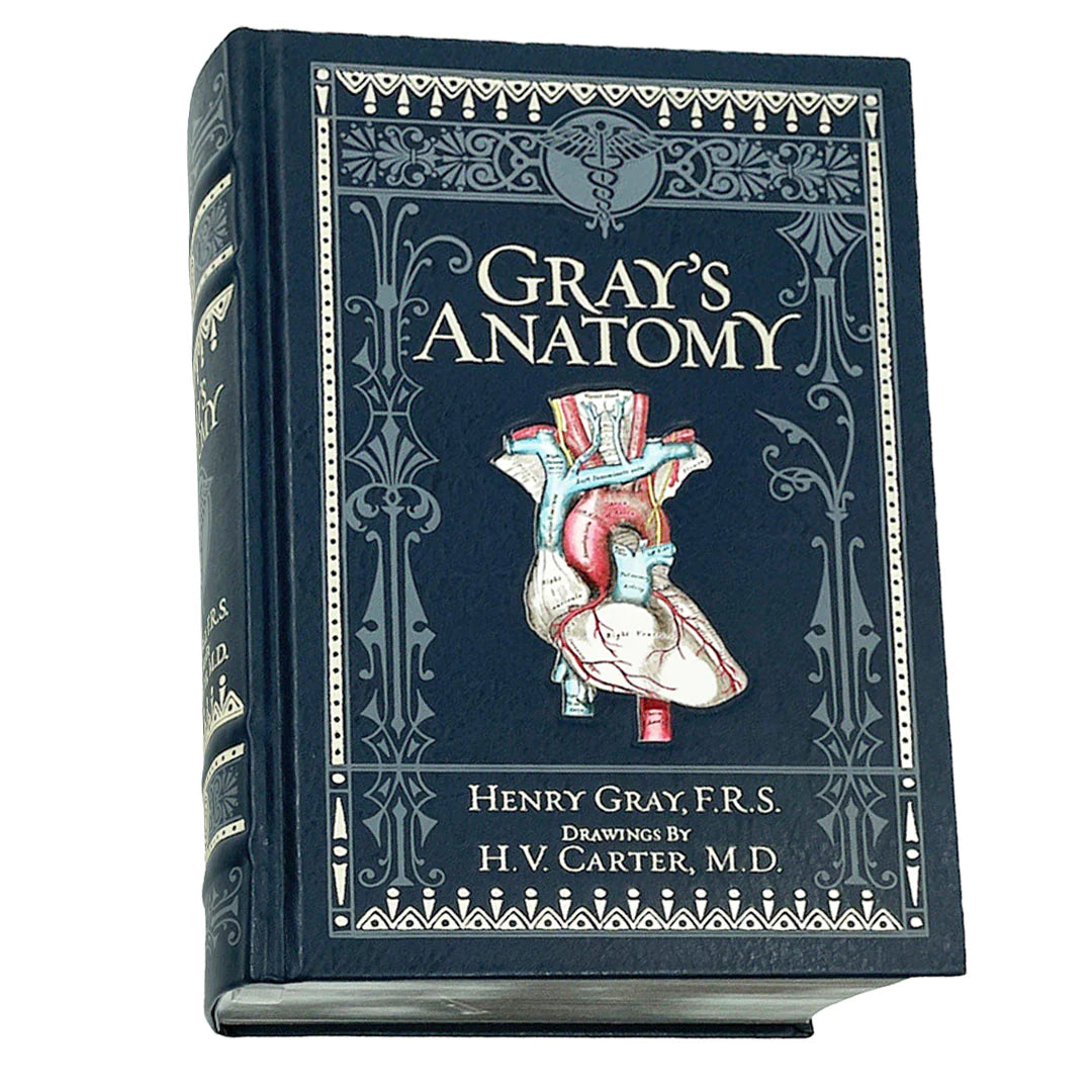 Barnes and Noble Grays Anatomy Henry Gray P.R.S