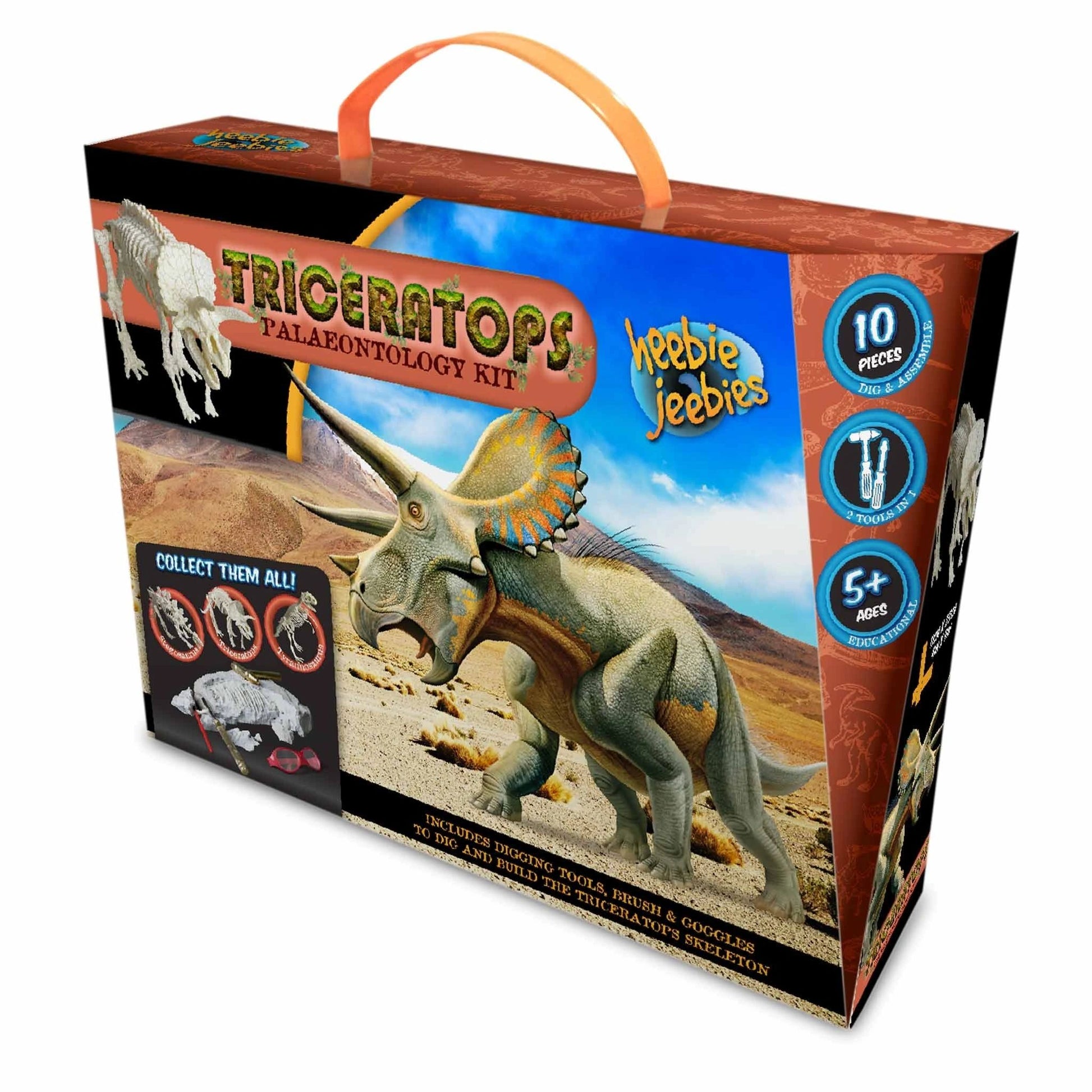 Palaeontology Kit Stegosaurus